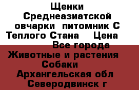 Щенки Среднеазиатской овчарки (питомник С Теплого Стана) › Цена ­ 20 000 - Все города Животные и растения » Собаки   . Архангельская обл.,Северодвинск г.